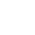 Flags Niigata White Logo